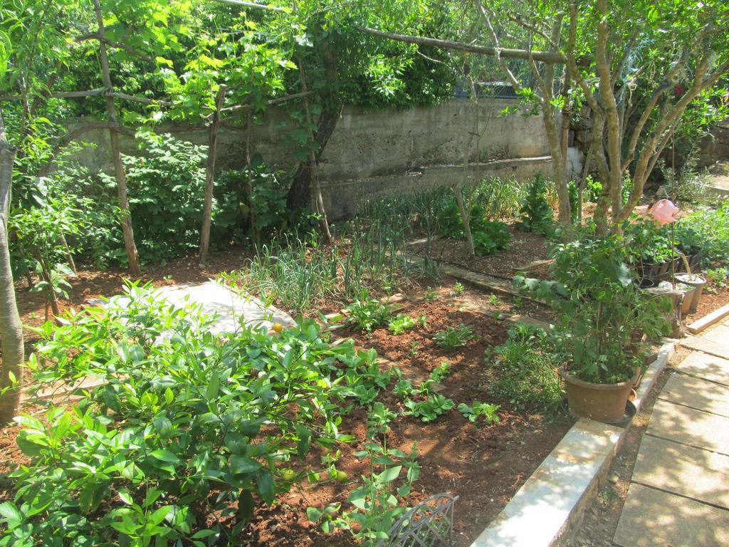 Apartment Artusi Pula Bilik gambar